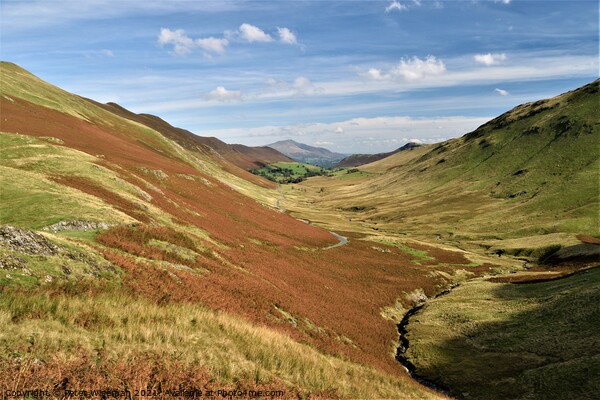 View down Newlands  Valley with Skiddaw in the background Picture Board by Peter Wiseman