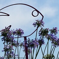 Buy canvas prints of Fish sculpture with agapanthus flowers by Peter Wiseman