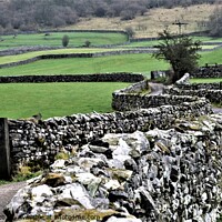 Buy canvas prints of Dry stone walls Yorkshire Dales by Peter Wiseman