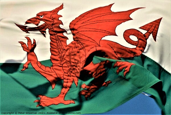 The Welsh Dragon Picture Board by Peter Wiseman
