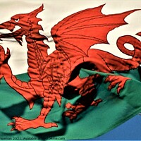 Buy canvas prints of The Welsh Dragon by Peter Wiseman