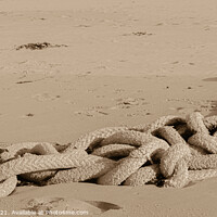 Buy canvas prints of Ropy sand snake by Ralph Greig