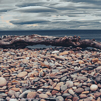 Buy canvas prints of pebbles and woods by Ralph Greig