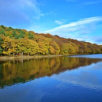 Buy canvas prints of Autumn colour reflections by Roy Hinchliffe