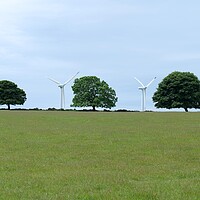 Buy canvas prints of Windmills between the trees by Roy Hinchliffe