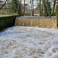 Buy canvas prints of Waterfall in flood by Roy Hinchliffe