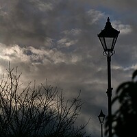 Buy canvas prints of Sky cloud streetlamps and trees by Roy Hinchliffe