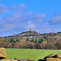 Buy canvas prints of Castle Hill  by Roy Hinchliffe