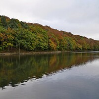 Buy canvas prints of Autumn colours reflections Huddersfield by Roy Hinchliffe