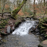 Buy canvas prints of stream waterfall in Holmfirth by Roy Hinchliffe