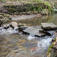 Buy canvas prints of Stepping stones Holmfirth by Roy Hinchliffe