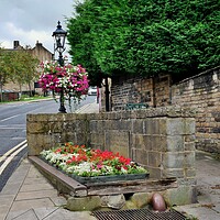 Buy canvas prints of Old horse trough flowers in Honley  Holmfirth by Roy Hinchliffe
