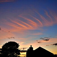 Buy canvas prints of Silhouette Sunset in Yorkshire by Roy Hinchliffe