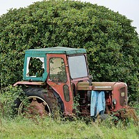Buy canvas prints of Abandoned red tractor in Yorkshire by Roy Hinchliffe
