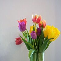 Buy canvas prints of Tulips in vase by Roy Hinchliffe