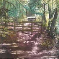 Buy canvas prints of Jedburgh Woods. by Trevor Whetstone