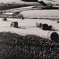 Buy canvas prints of Fields of Barley by Trevor Whetstone