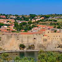 Buy canvas prints of Château Royal de Collioure, a French royal castle in the town of Collioure, France by Chun Ju Wu