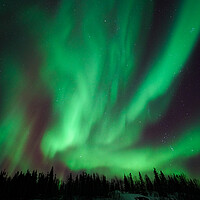 Buy canvas prints of Aurora Borealis, Northern Lights, at Yellowknife, Northwest Territories, Canada by Chun Ju Wu