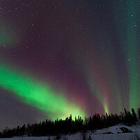 Buy canvas prints of Aurora Borealis, Northern Lights, at Yellowknife, Northwest Territories, Canada by Chun Ju Wu