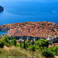 Buy canvas prints of Overview of the old town of Dubrovnik, Croatia by Chun Ju Wu