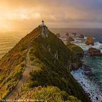 Buy canvas prints of Nugget Point and lighthouse with sunrise at South Island, New Zealand by Chun Ju Wu