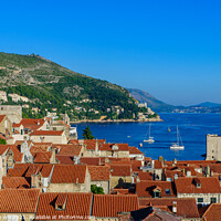 Buy canvas prints of The old town of Dubrovnik, Croatia by Chun Ju Wu