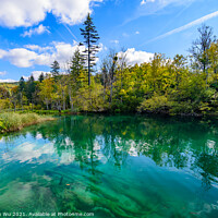 Buy canvas prints of Plitvice Lakes National Park (Plitvička Jezera) with turquoise lake, Croatia by Chun Ju Wu