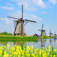 Buy canvas prints of The windmills in Kinderdijk, a UNESCO World Heritage site in Rotterdam, Netherlands by Chun Ju Wu