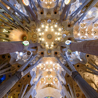 Buy canvas prints of The ceiling of interior of Sagrada Familia (Church of the Holy Family), the cathedral designed by Gaudi in Barcelona, Spain by Chun Ju Wu