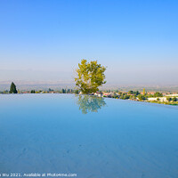 Buy canvas prints of A tree and reflection on the pool at Pamukkale (cotton castle), Denizli, Turkey by Chun Ju Wu
