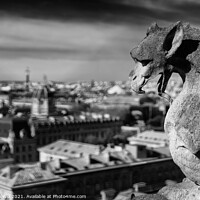 Buy canvas prints of The Gargoyles of Notre Dame Cathedral overlooking Paris, France (black & white) by Chun Ju Wu