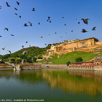 Buy canvas prints of A flock of birds flying in front of Amer Fort in Jaipur, India by Chun Ju Wu