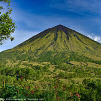 Buy canvas prints of Inierie Volcano in Bajawa, Flores island, Indonesia by Chun Ju Wu