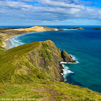 Buy canvas prints of Coastline of Cape Reinga, North Island, New Zealand by Chun Ju Wu