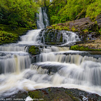 Buy canvas prints of McLean Falls, The Catlins, New Zealand by Chun Ju Wu