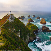 Buy canvas prints of Nugget Point and lighthouse with sunrise at South Island, New Zealand by Chun Ju Wu