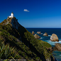 Buy canvas prints of Nugget Point and lighthouse at South Island, New Zealand by Chun Ju Wu