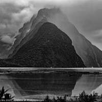 Buy canvas prints of Milford Sound in a cloudy day (black and white) by Chun Ju Wu