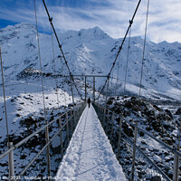 Buy canvas prints of Walk on suspension bridge, Hooker Valley Track in winter, Mt Cook National Park, New Zealand by Chun Ju Wu