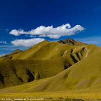 Buy canvas prints of Green hill with blue sky, landscape of South Island, New Zealand by Chun Ju Wu