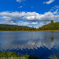 Buy canvas prints of Clean lake in South Island, New Zealand by Chun Ju Wu