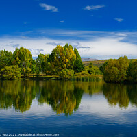 Buy canvas prints of Landscape of autumn trees and lake in South Island, New Zealand by Chun Ju Wu