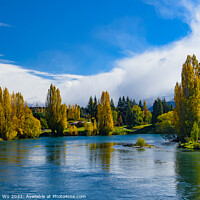 Buy canvas prints of Landscape of autumn trees and river in South Island, New Zealand by Chun Ju Wu