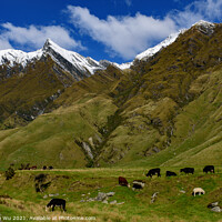 Buy canvas prints of Mount Aspiring National Park in South Island, New Zealand by Chun Ju Wu