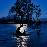 Buy canvas prints of Night view of Wanaka tree and Lake Wanaka in moonlight, New Zealand by Chun Ju Wu