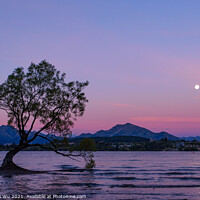 Buy canvas prints of Sunset view of Wanaka tree and Lake Wanaka, New Zealand by Chun Ju Wu