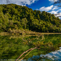 Buy canvas prints of Reflection of trees on the water, Abel Tasman National Park, New Zealand by Chun Ju Wu
