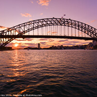 Buy canvas prints of Silhouette of Sydney Harbour Bridge at sunset time by Chun Ju Wu
