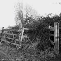 Buy canvas prints of Old Wooden Gate Hollesley Masrshes by ROBERT HUTT